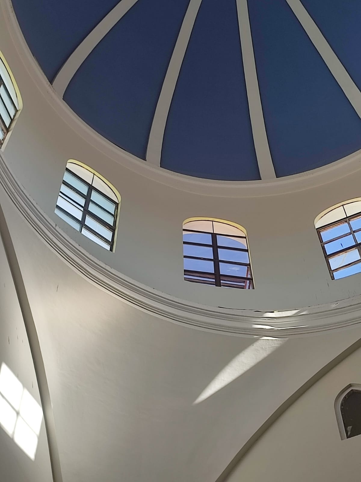 Proyecto comercial Alvia